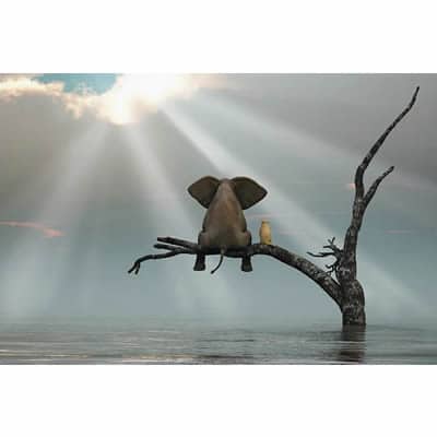 ArtHD Ref.a151 - Imagem 3