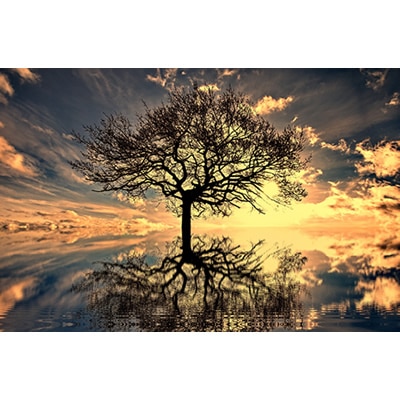 ArtHD Ref.t210 - Imagem 4