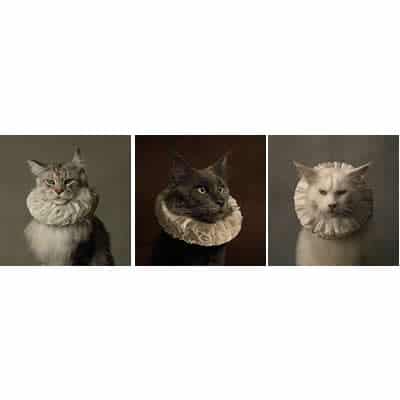 ArtHD Ref.Trio507 - Imagem 4