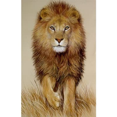 ArtHD Ref.a169 - Imagem 4