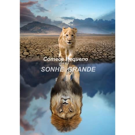 ArtHD Ref.m123 - Imagem 4