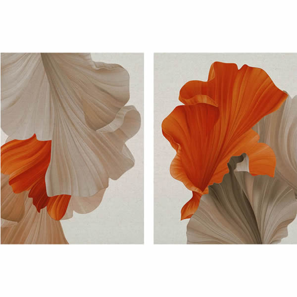 Duo126 - A Beleza e a Perfeição - Imagem 4