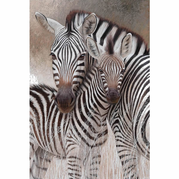 A104 - Detalhes em Preto e Branco - Imagem 4