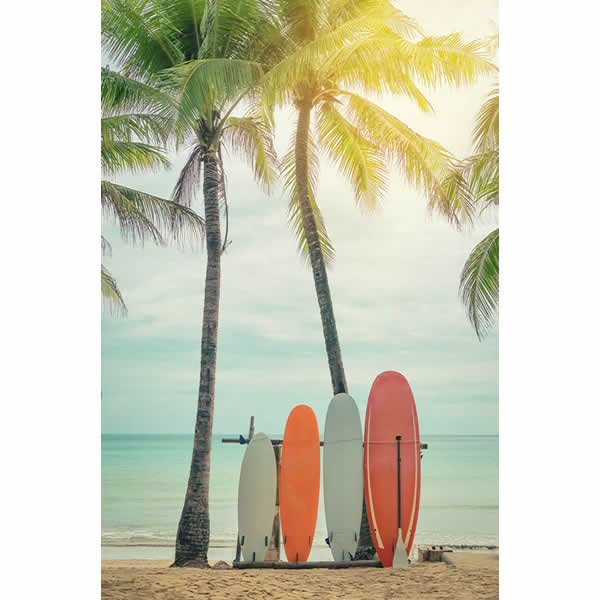 T111 - Verão na Praia - Imagem 4