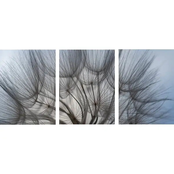 Trio103 - Plumas ao Vento - Imagem 5